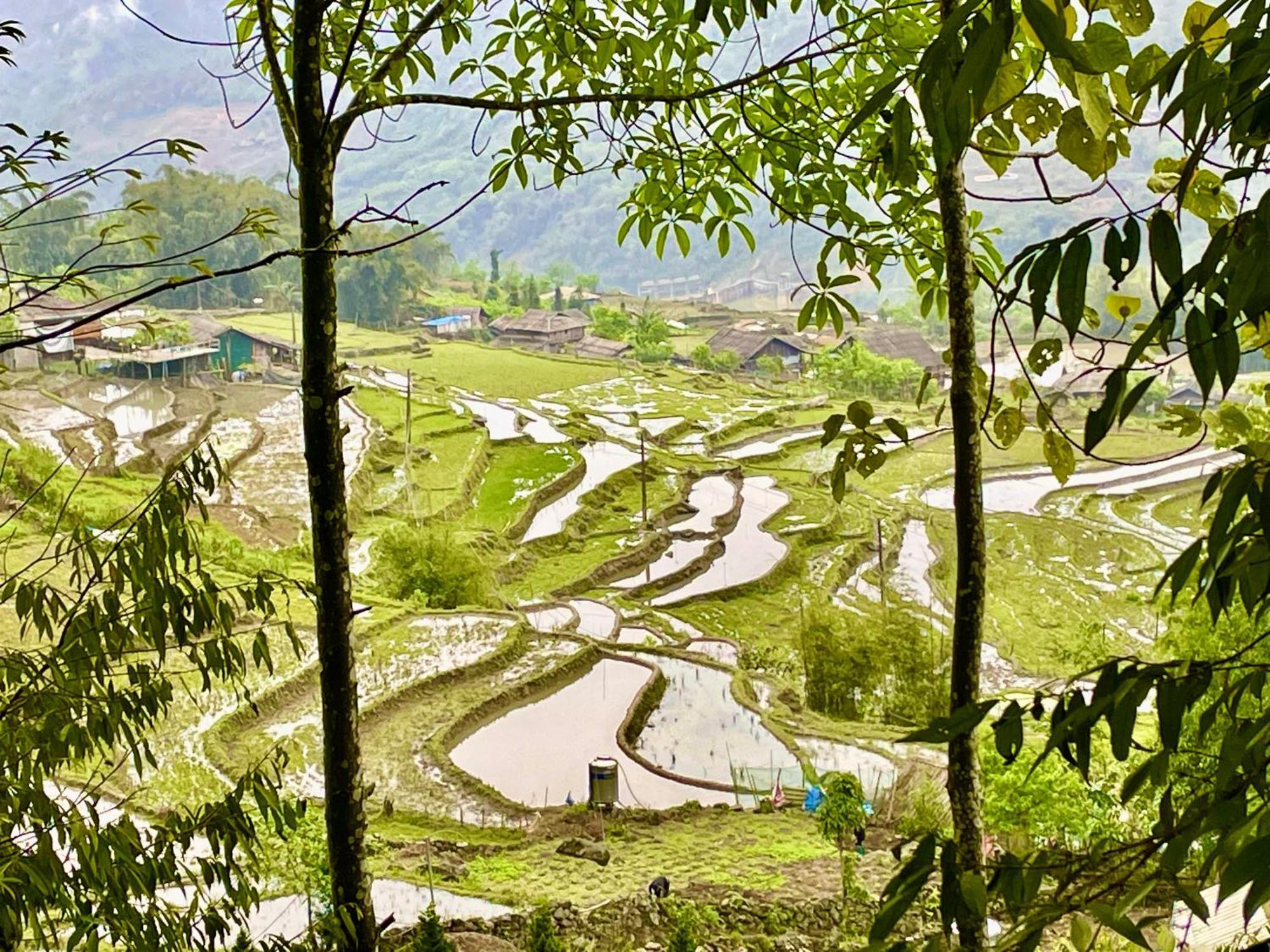 Sue Pa Family Trekking Homestay Шапа Экстерьер фото